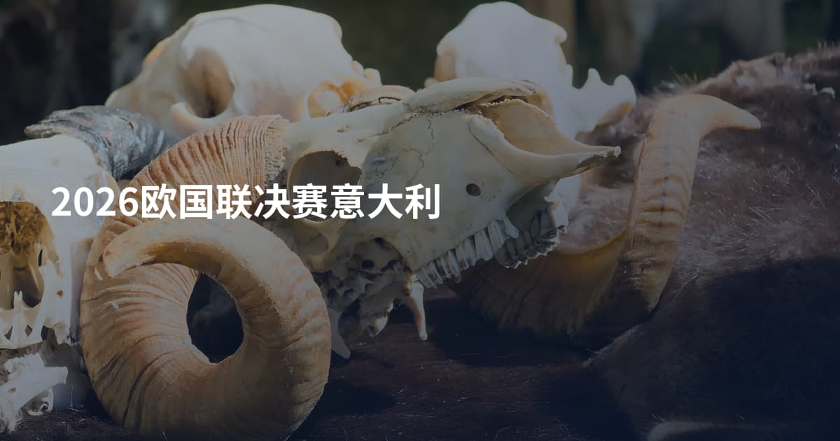2026欧国联决赛意大利