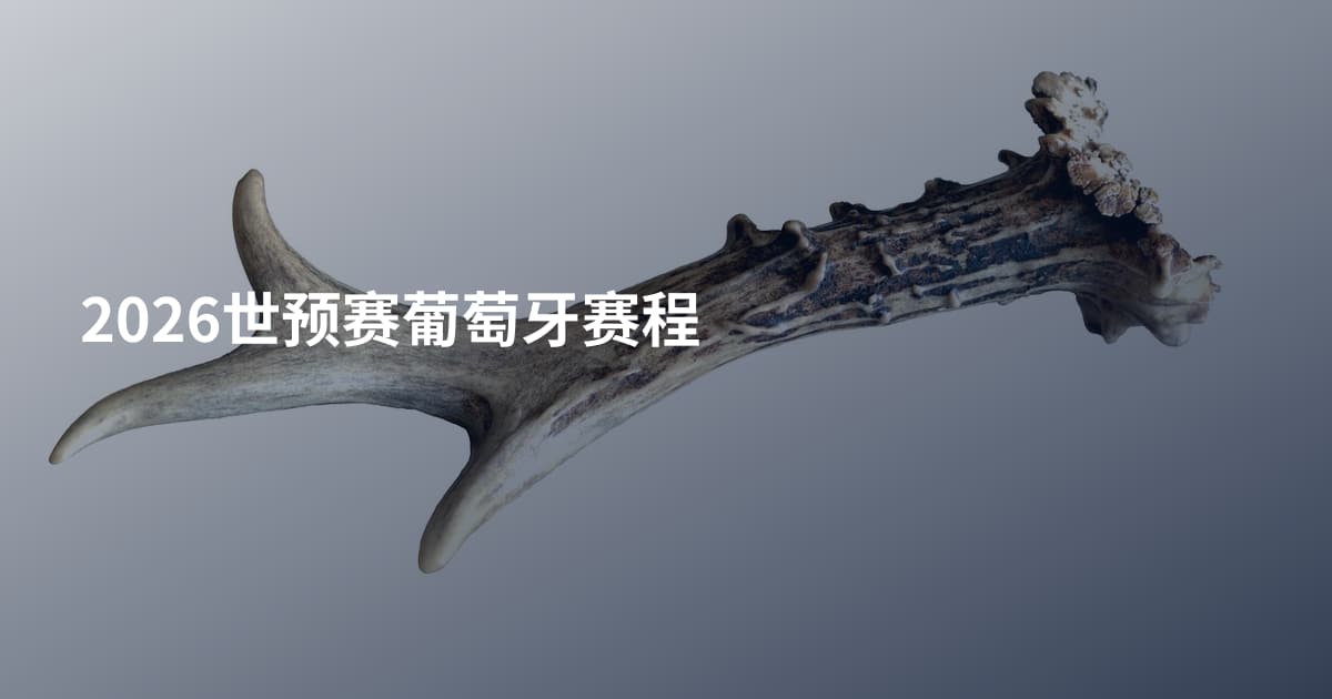 2026世预赛葡萄牙赛程