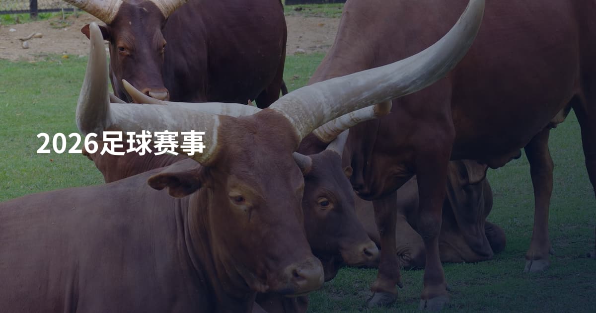 2026足球赛事