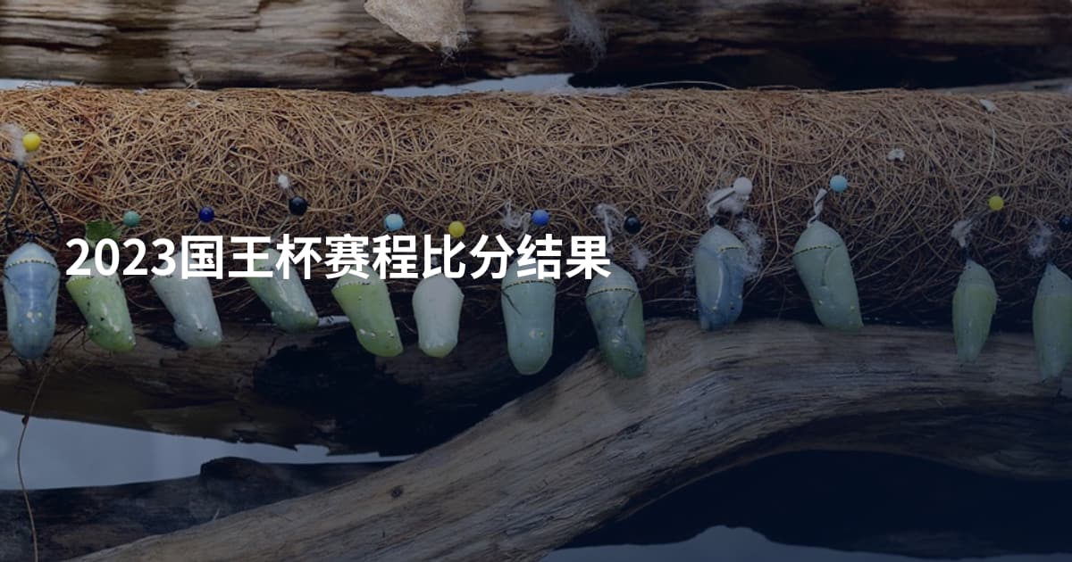 2023国王杯赛程比分结果