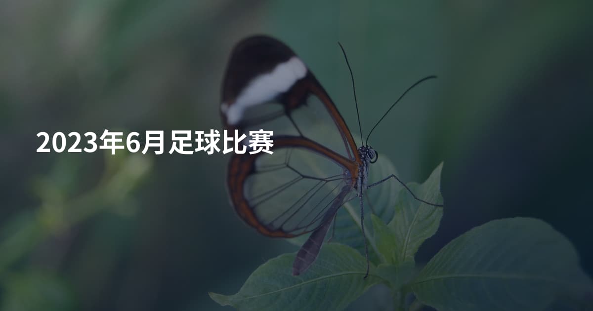 2023年6月足球比赛