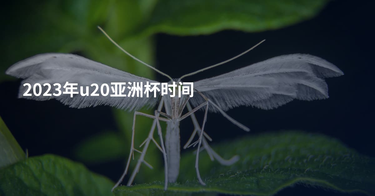 2023年u20亚洲杯时间
