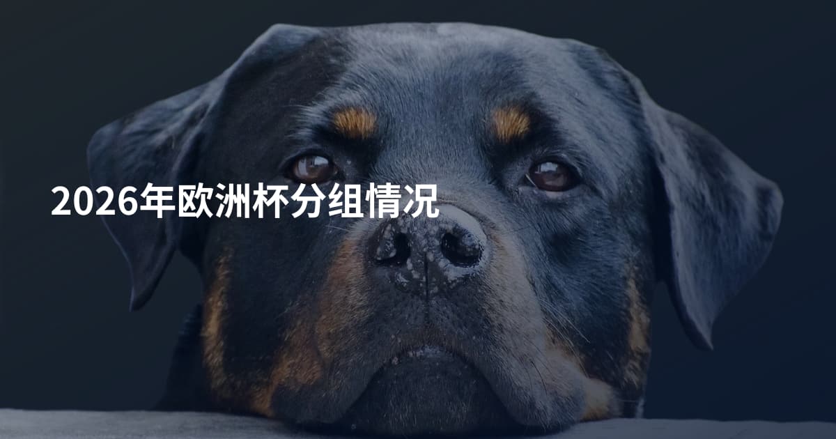 2026年欧洲杯分组情况
