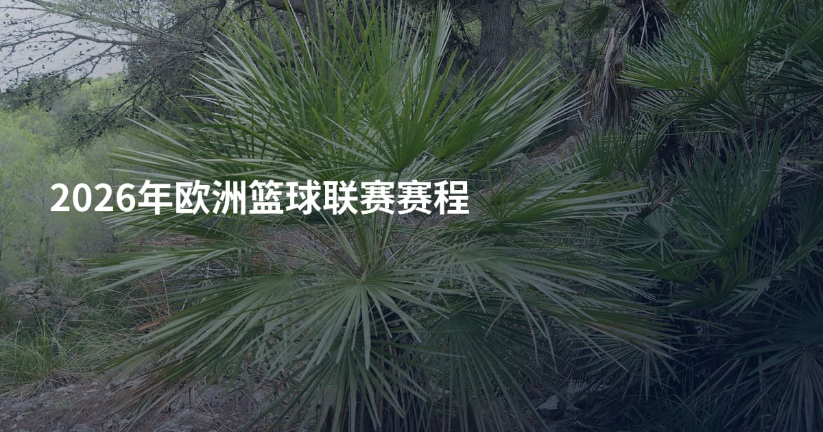 2026年欧洲篮球联赛赛程