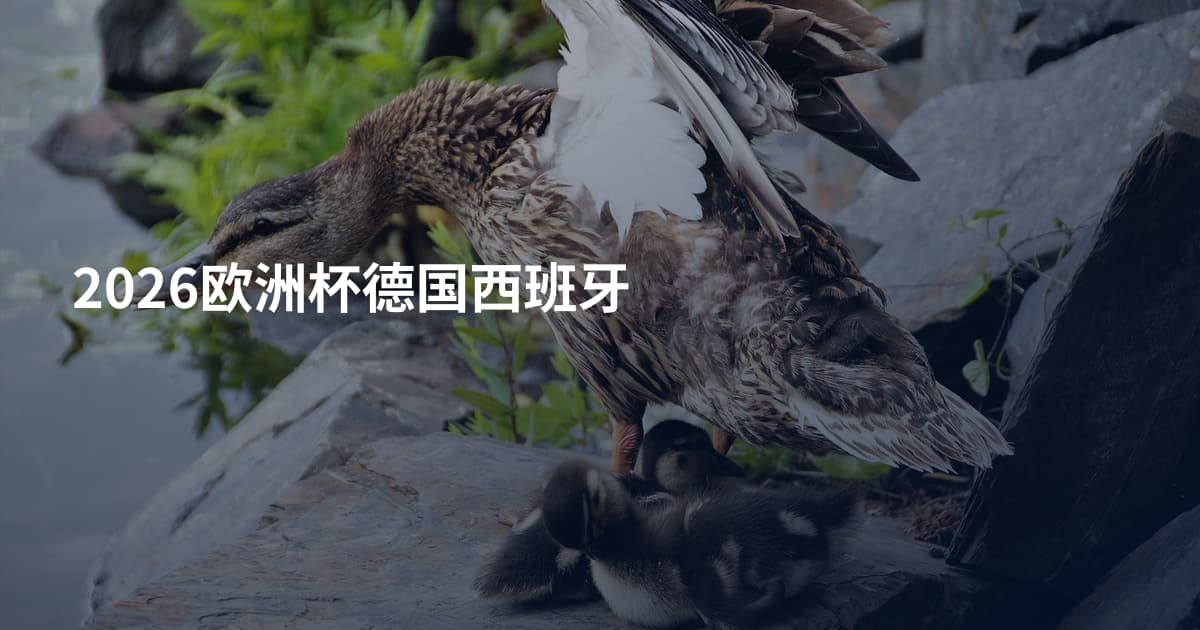 2026欧洲杯德国西班牙