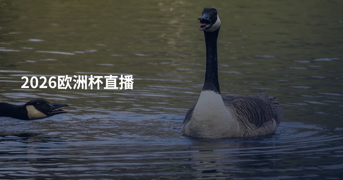 2026欧洲杯直播