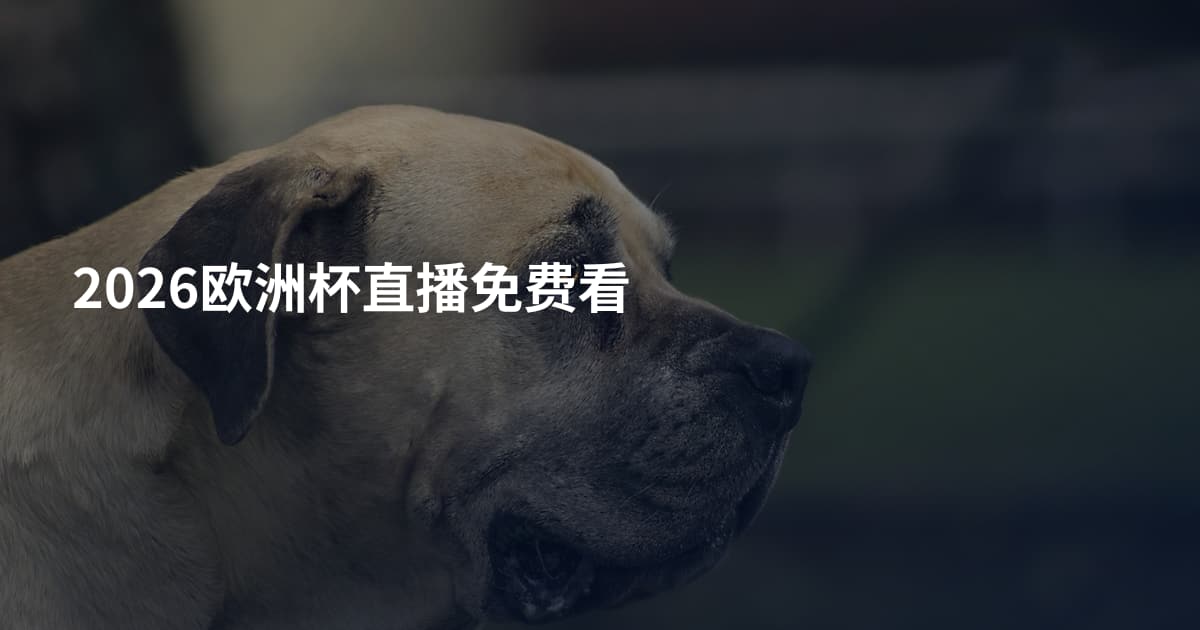 2026欧洲杯直播免费看