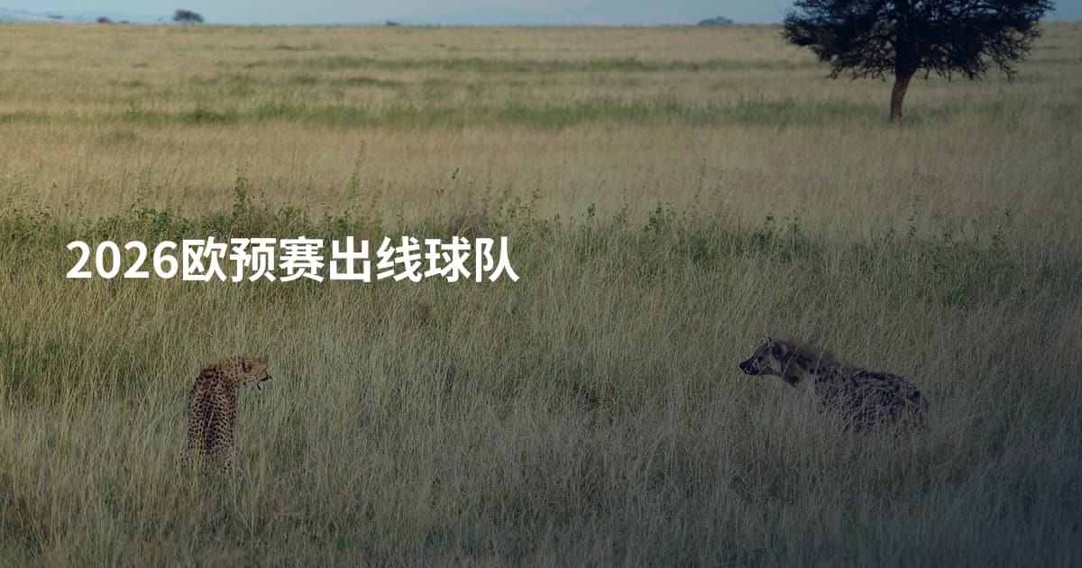 2026欧预赛出线球队