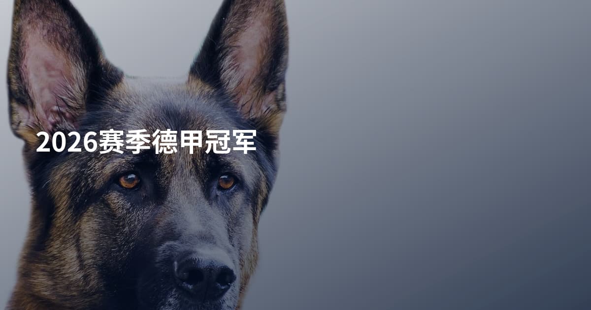 2026赛季德甲冠军