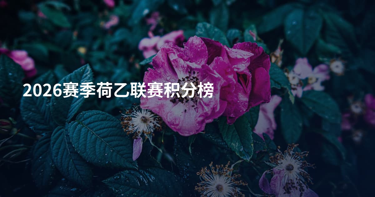 2026赛季荷乙联赛积分榜