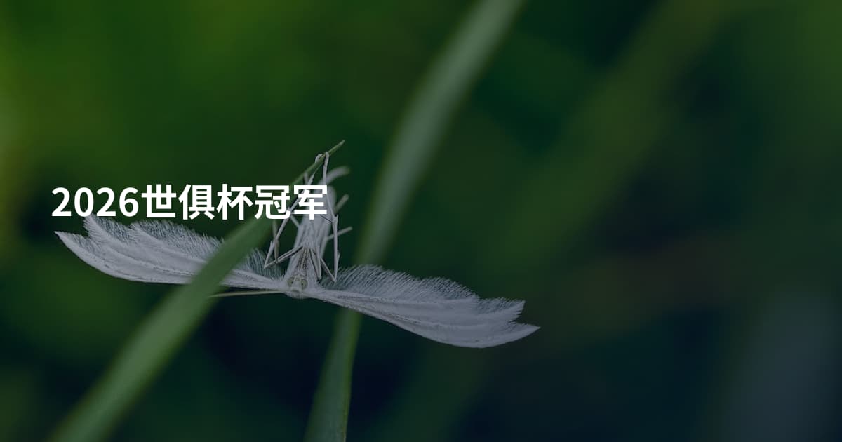 2026世俱杯冠军