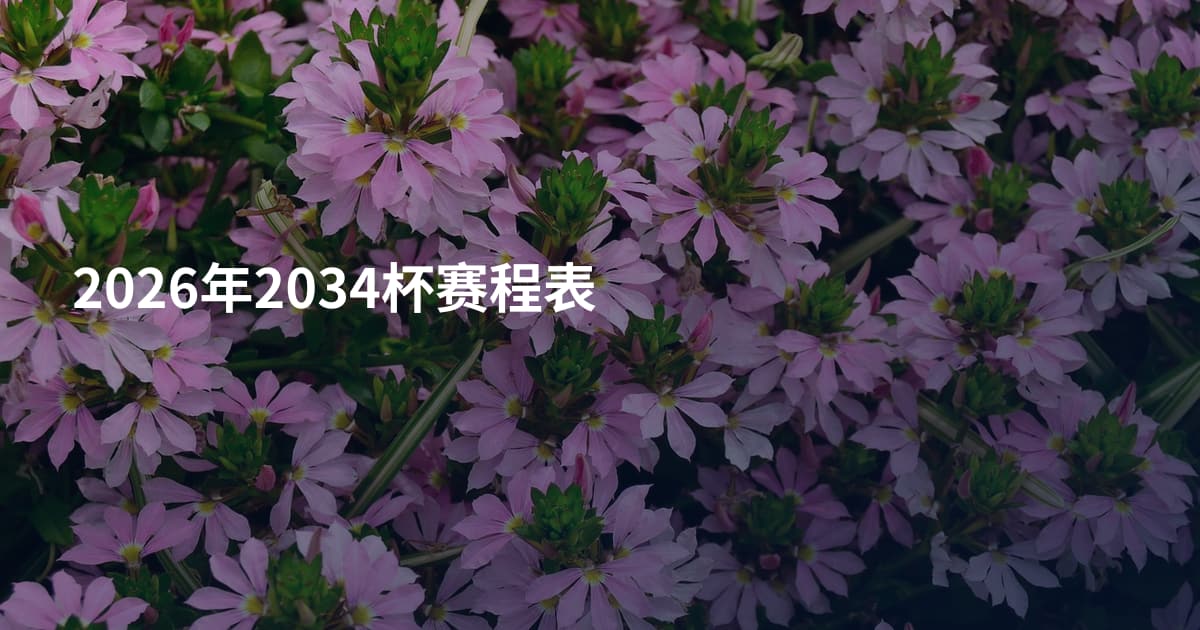 2026年2034杯赛程表