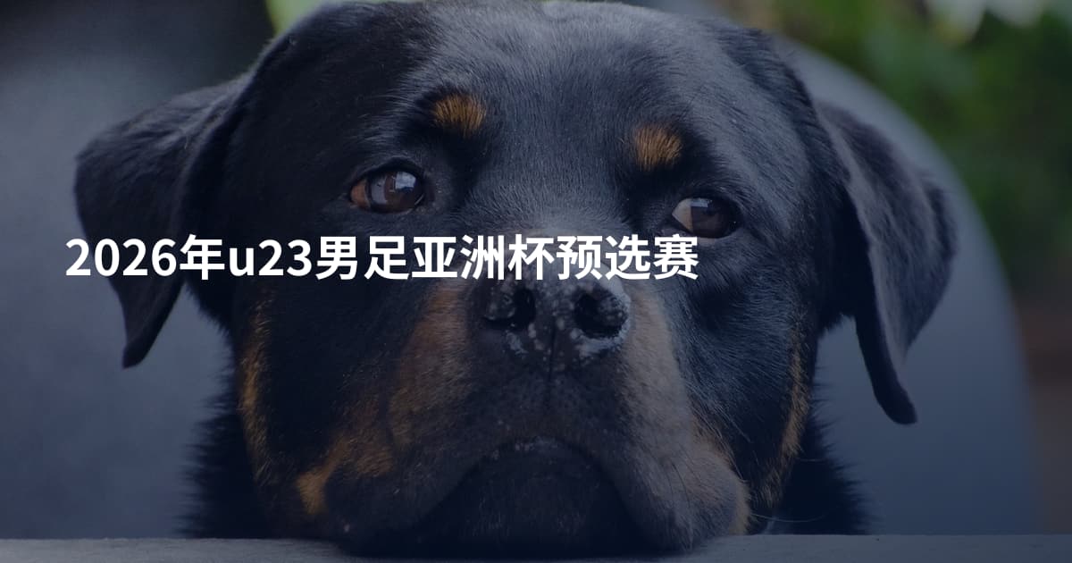 2026年u23男足亚洲杯预选赛