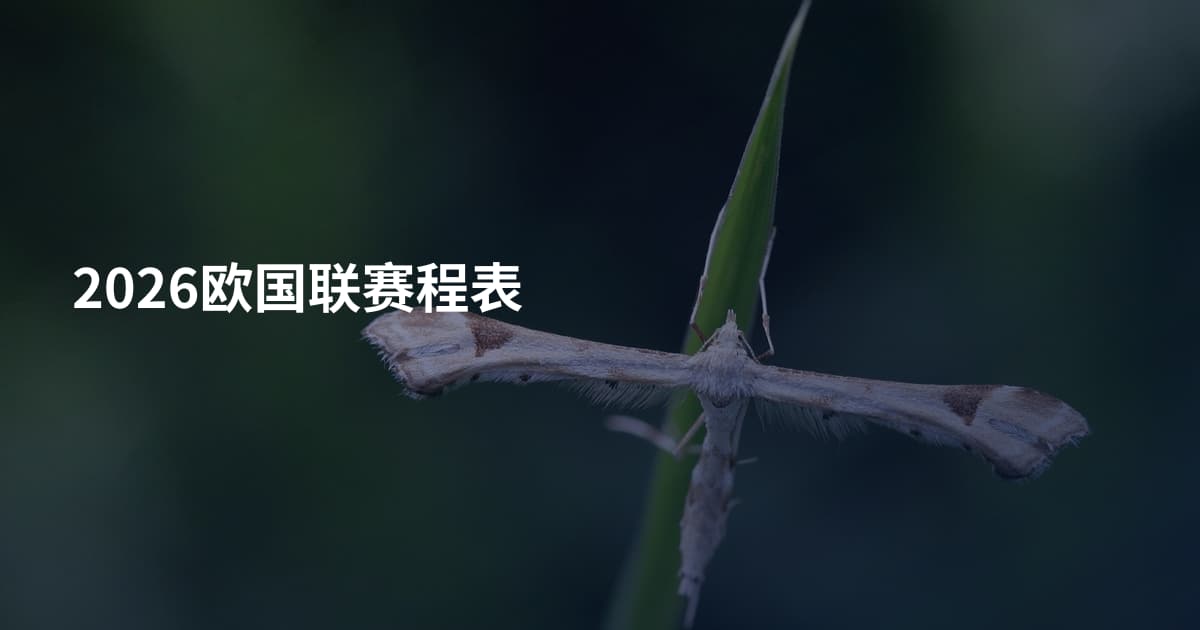 2026欧国联赛程表