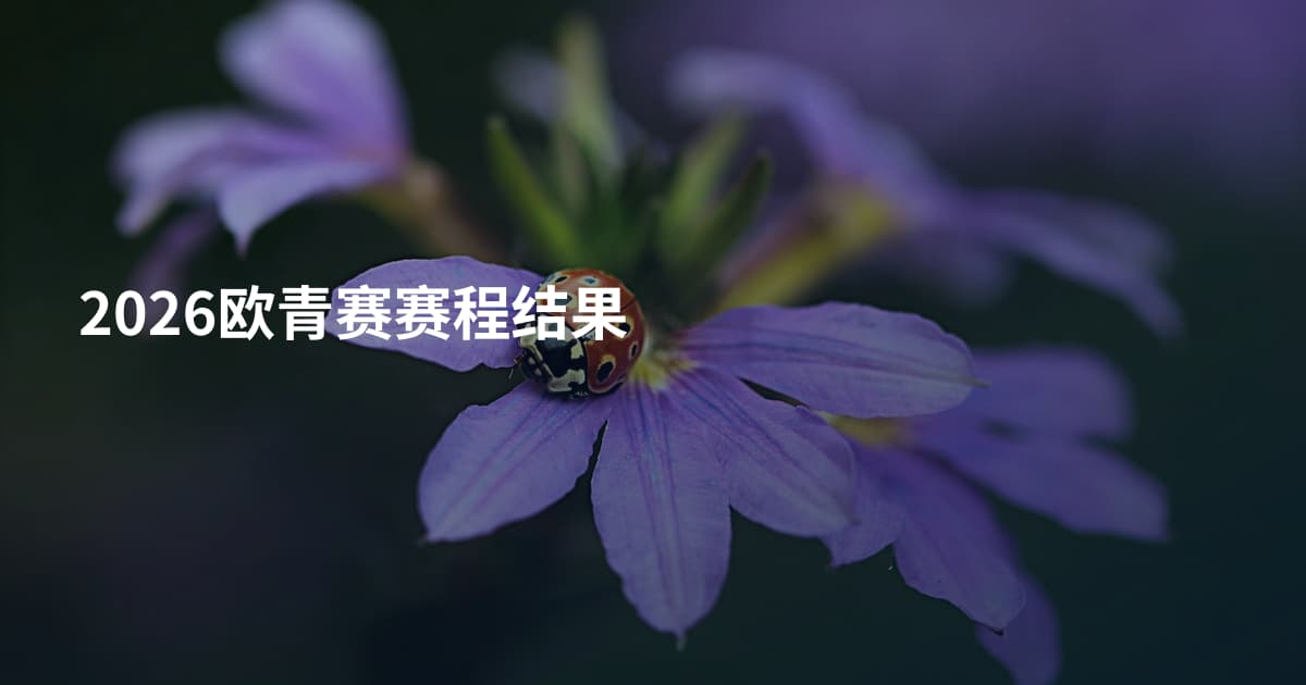 2026欧青赛赛程结果