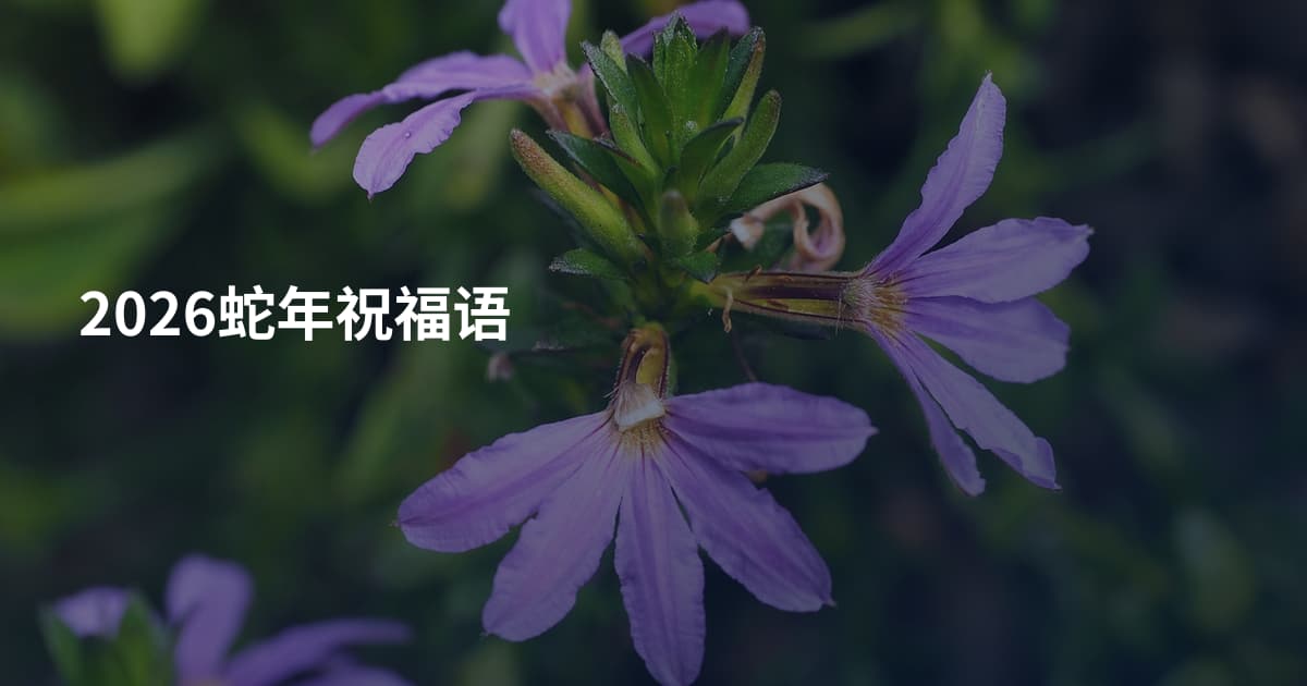 2026蛇年祝福语