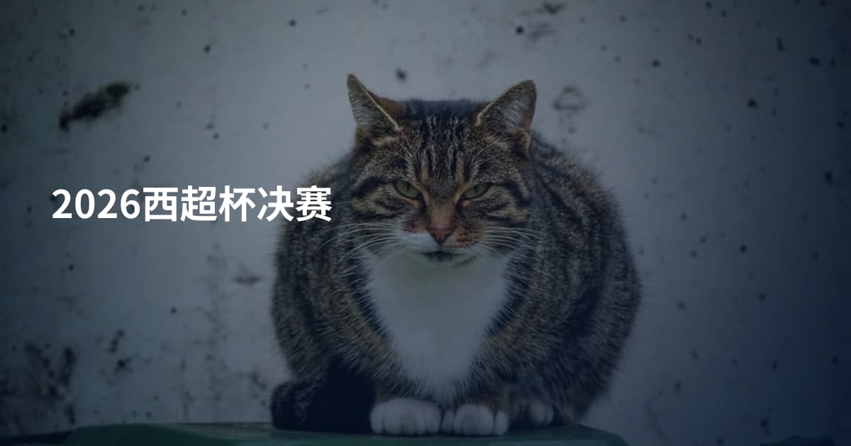 2026西超杯决赛
