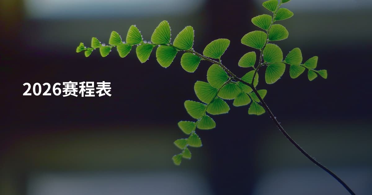 2026赛程表
