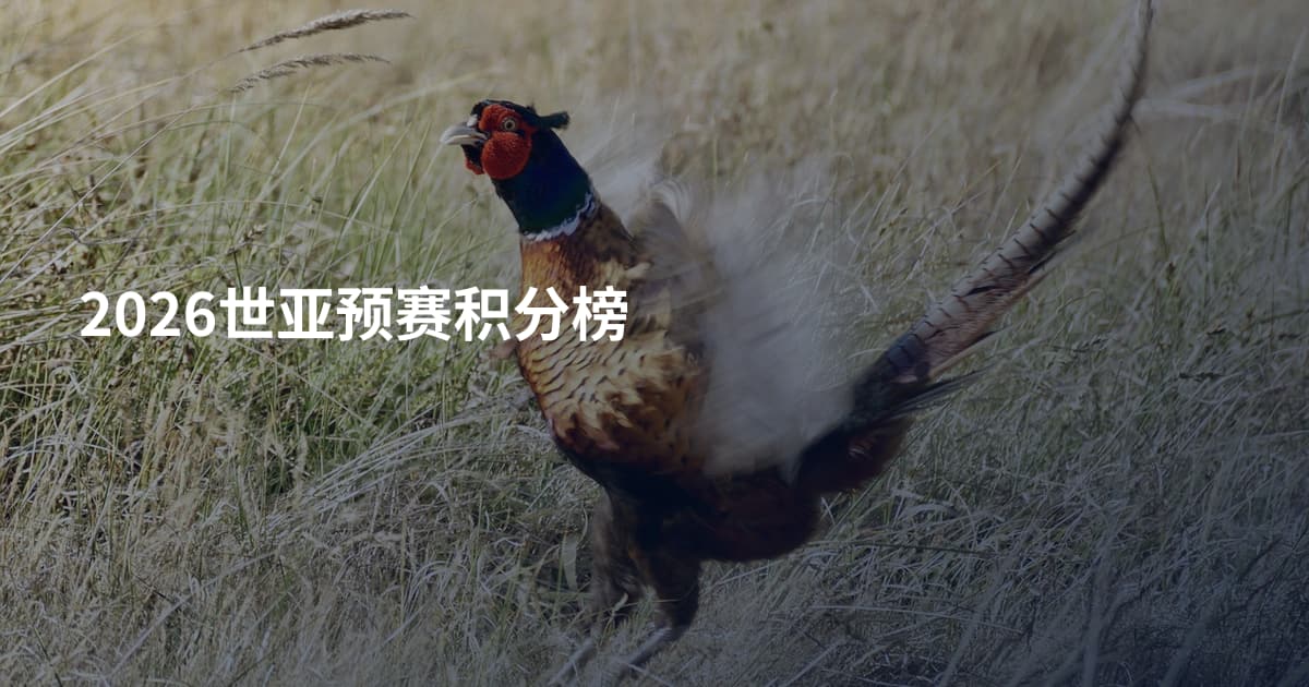 2026世亚预赛积分榜