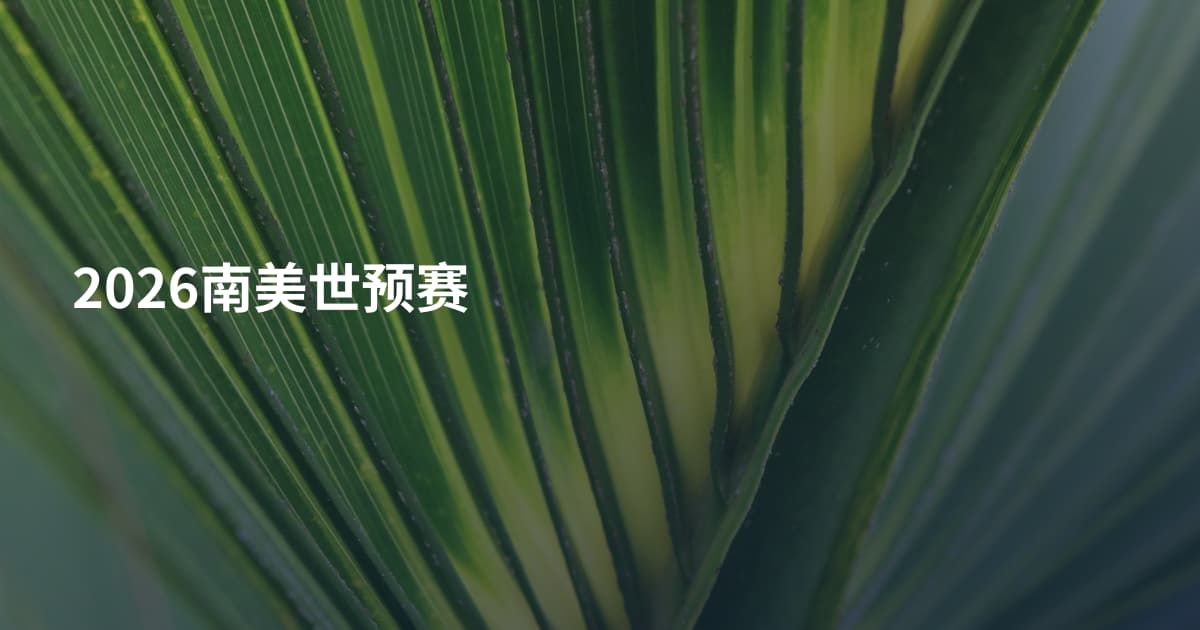 2026南美世预赛