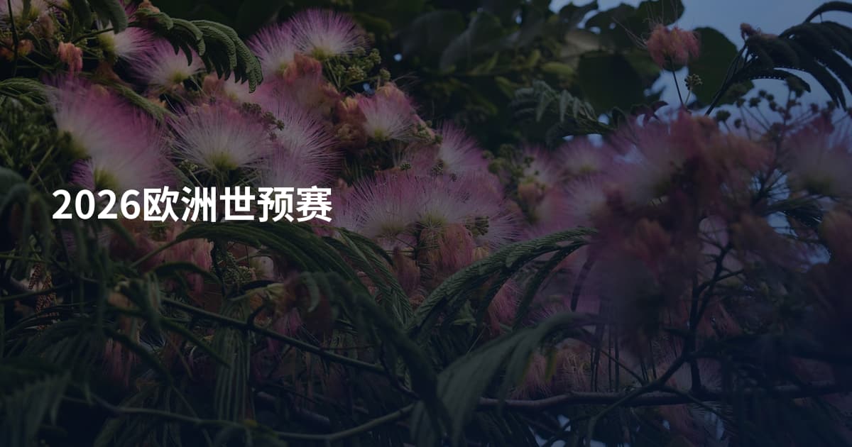 2026欧洲世预赛