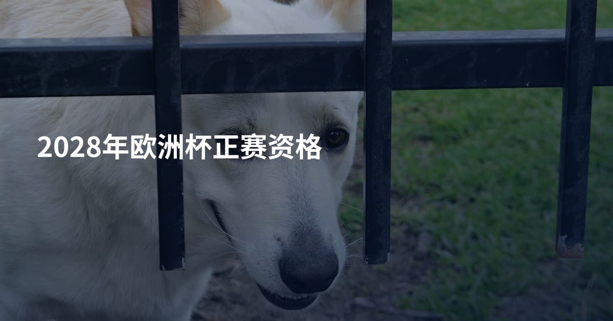 2028年欧洲杯正赛资格