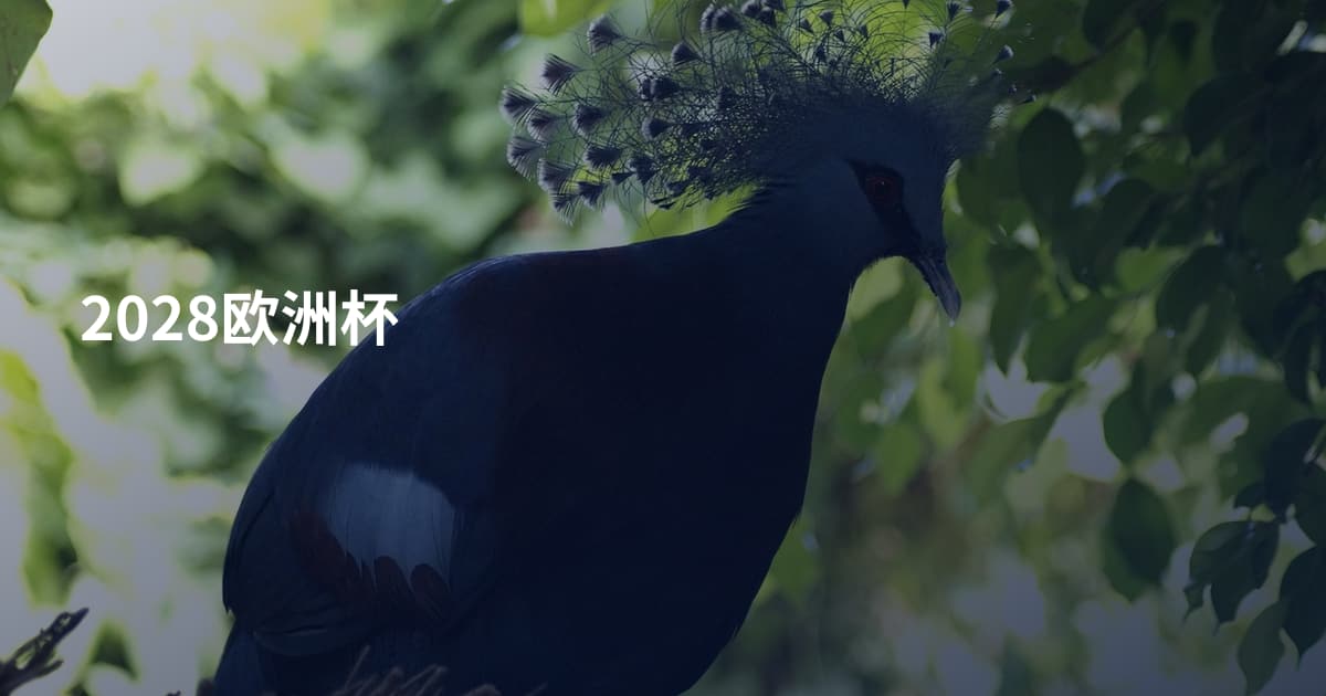 2028欧洲杯