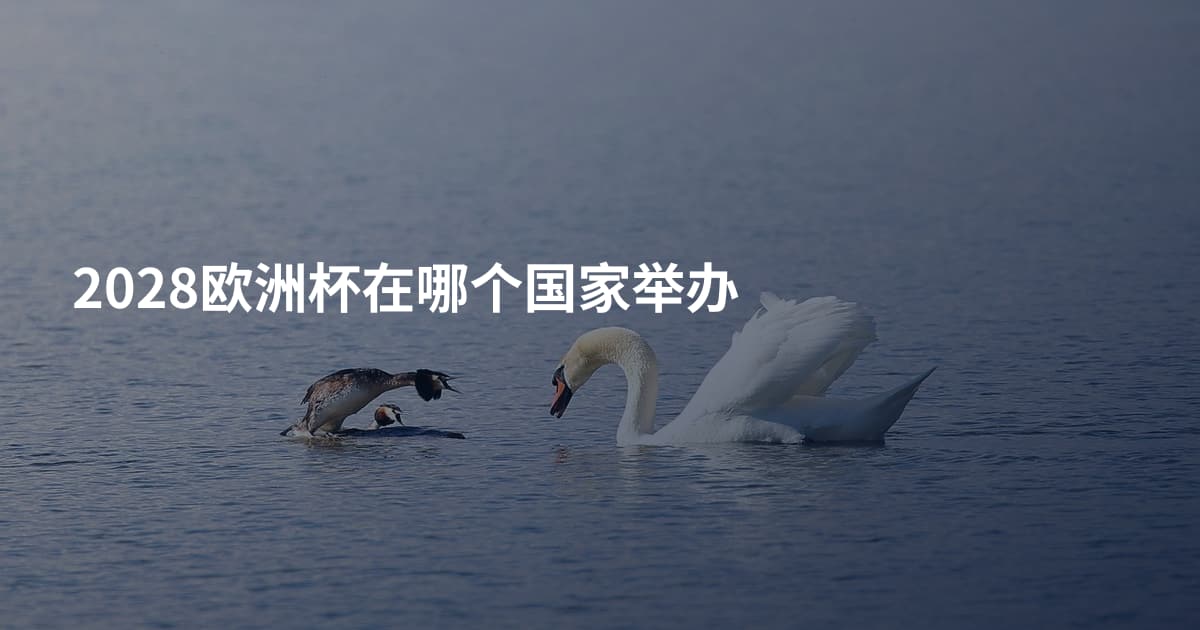 2028欧洲杯在哪个国家举办