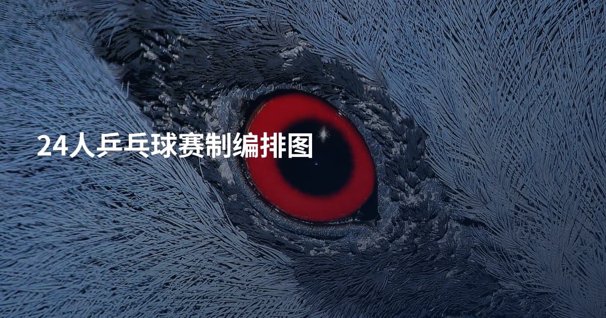 24人乒乓球赛制编排图