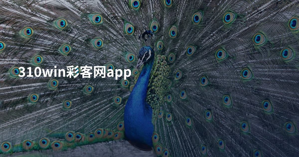 310win彩客网app