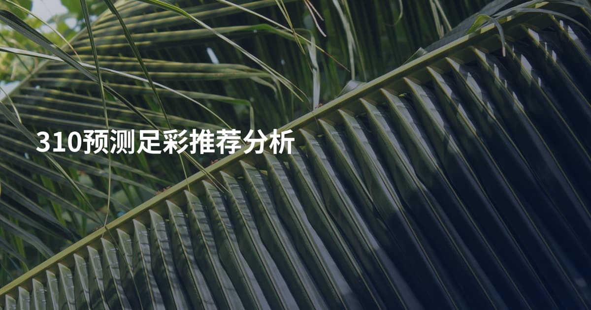 310预测足彩推荐分析