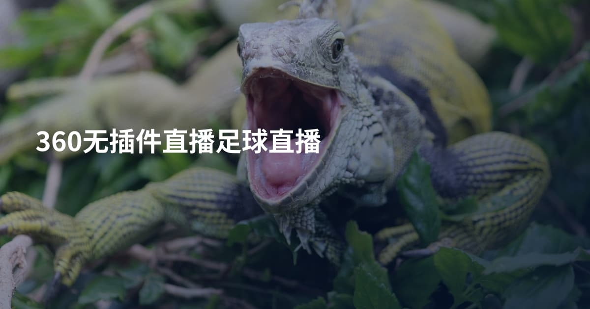 360无插件直播足球直播