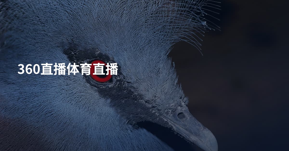 360直播体育直播