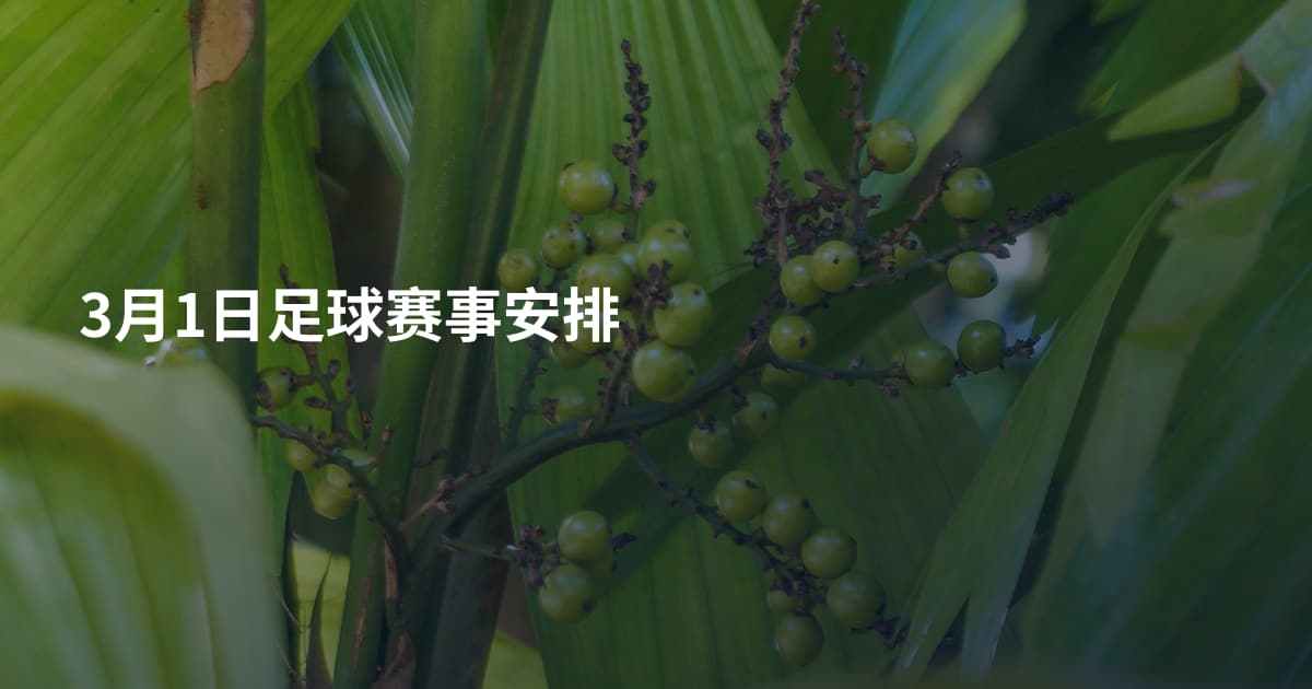 3月1日足球赛事安排