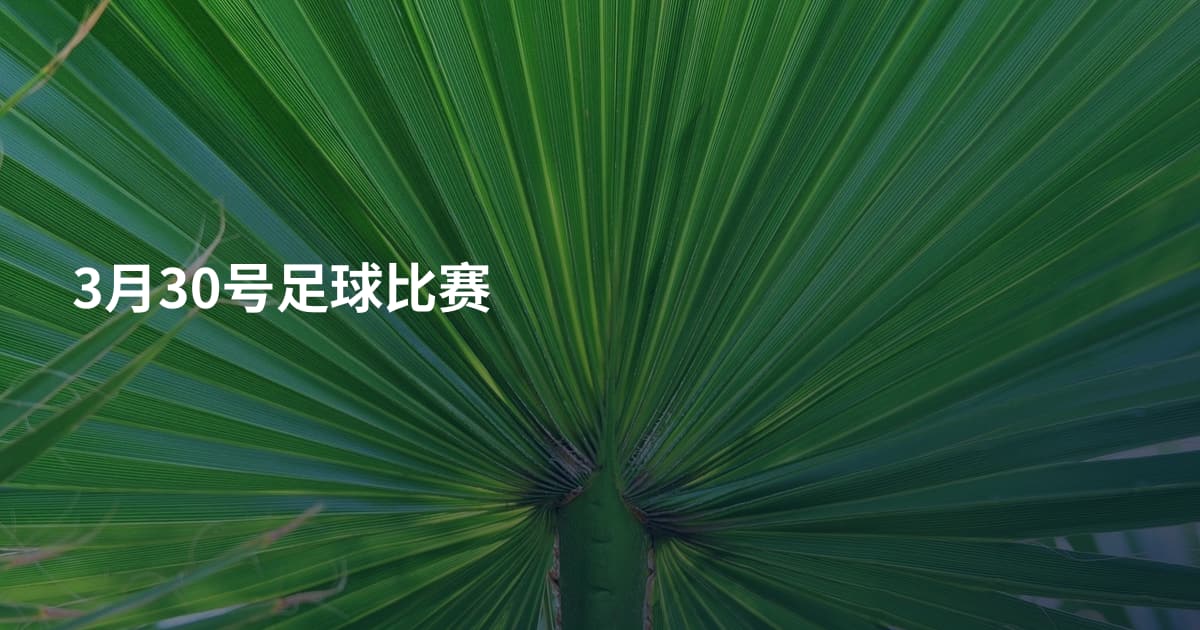 3月30号足球比赛