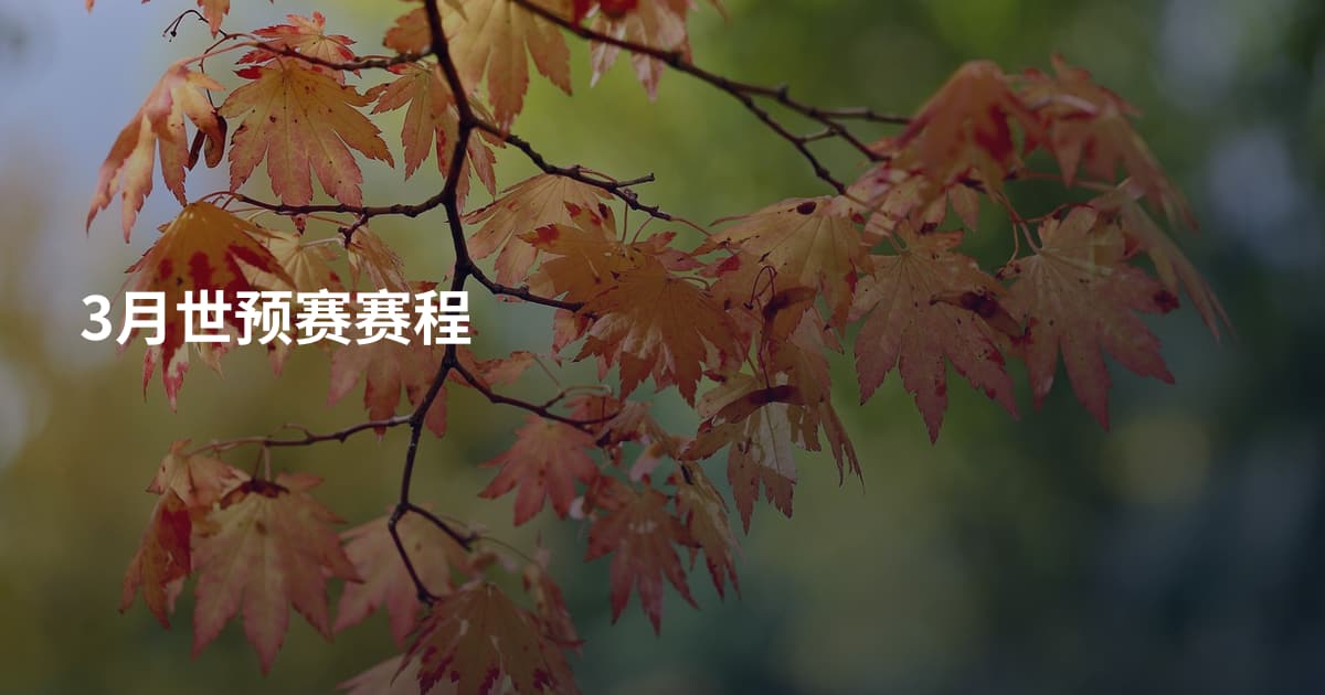3月世预赛赛程