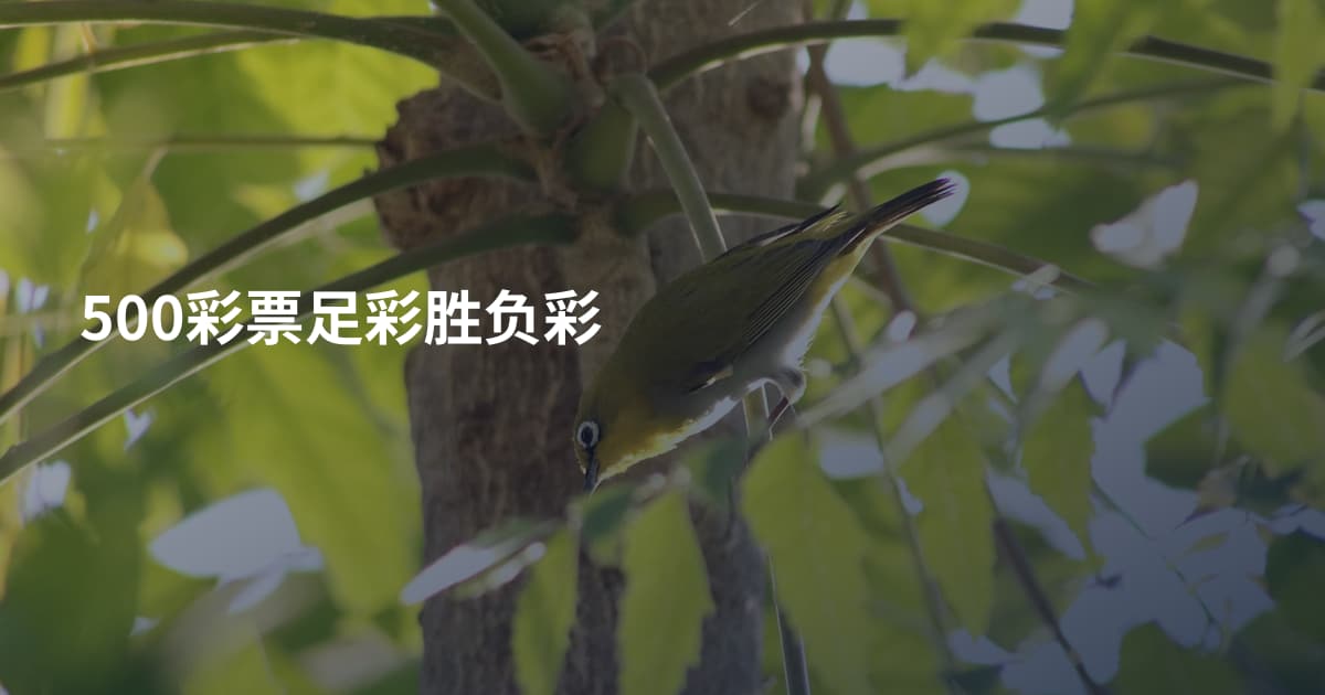 500彩票足彩胜负彩