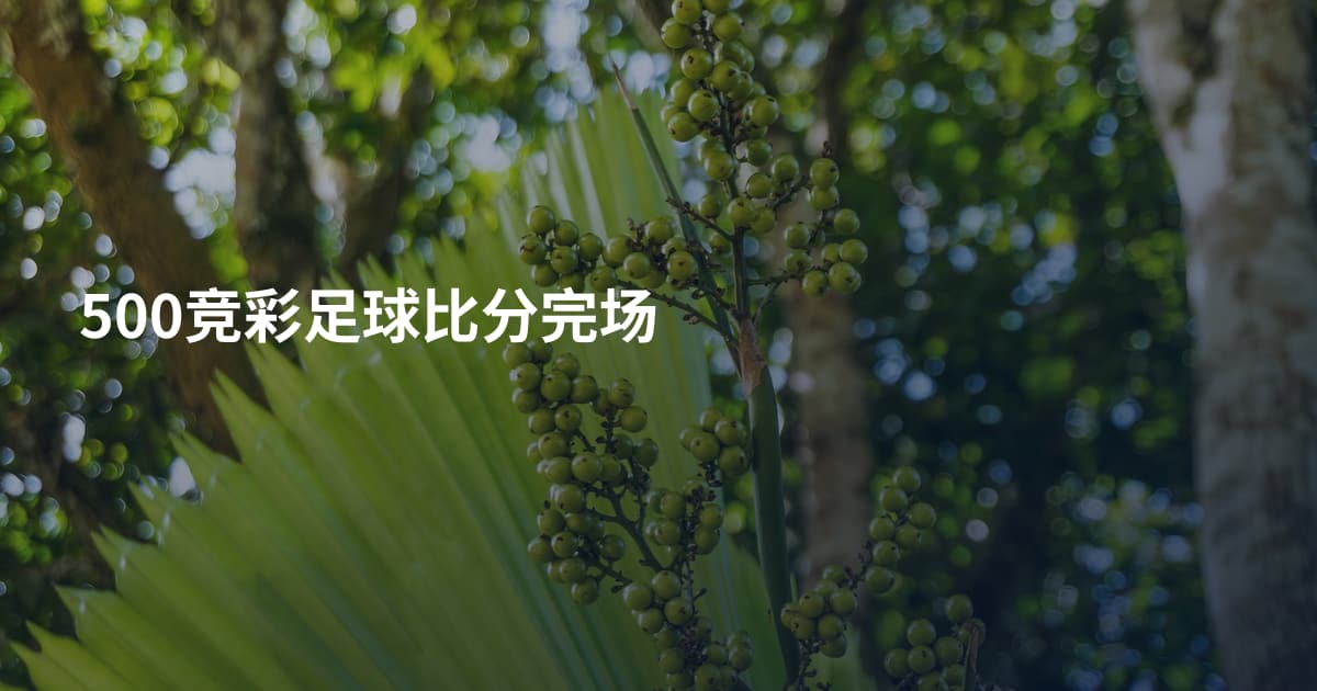 500竞彩足球比分完场