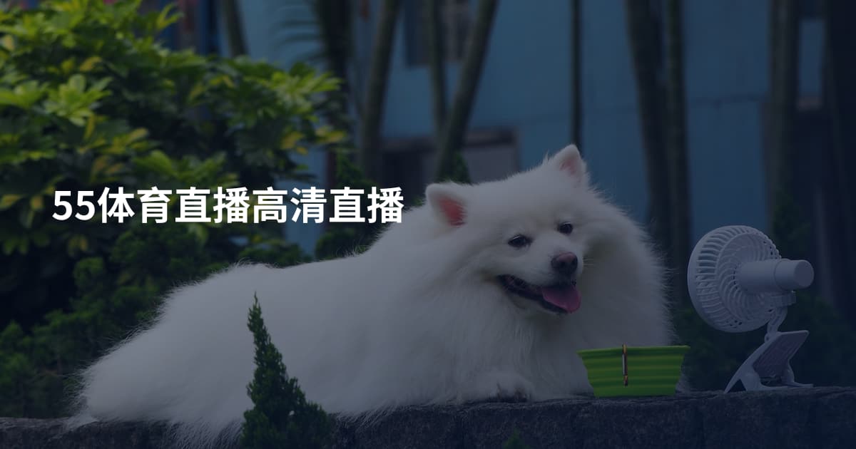 55体育直播高清直播