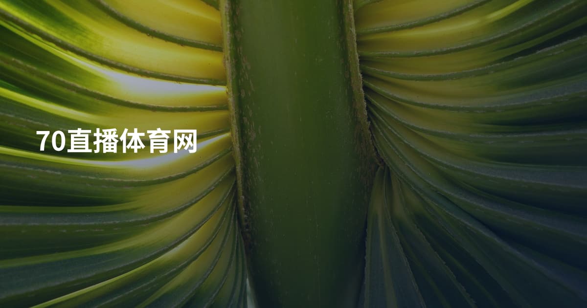 70直播体育网