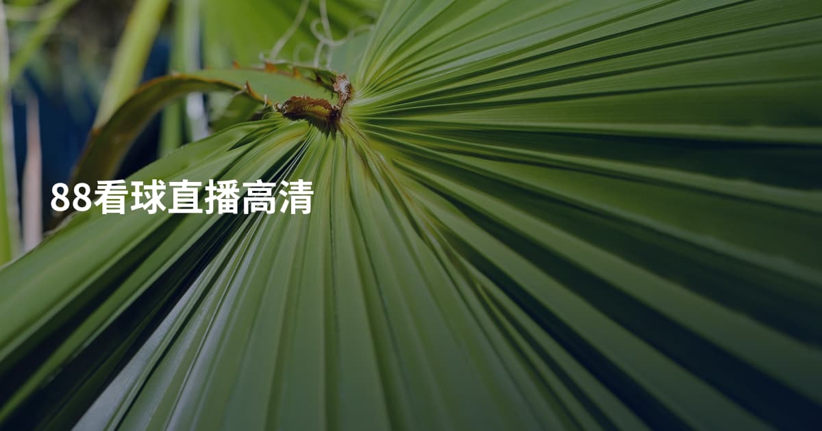 88看球直播高清