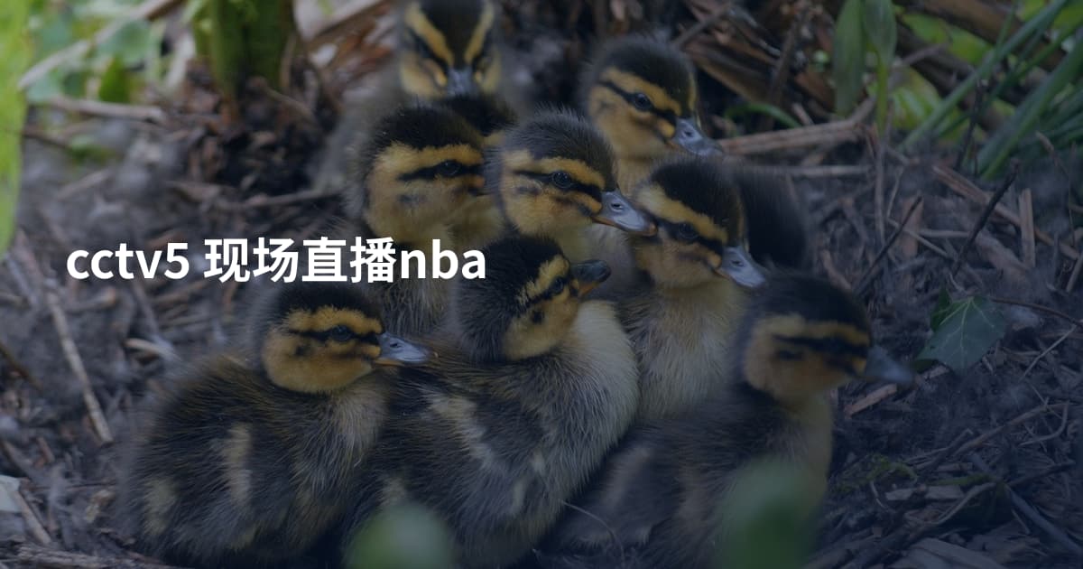 cctv5 现场直播nba