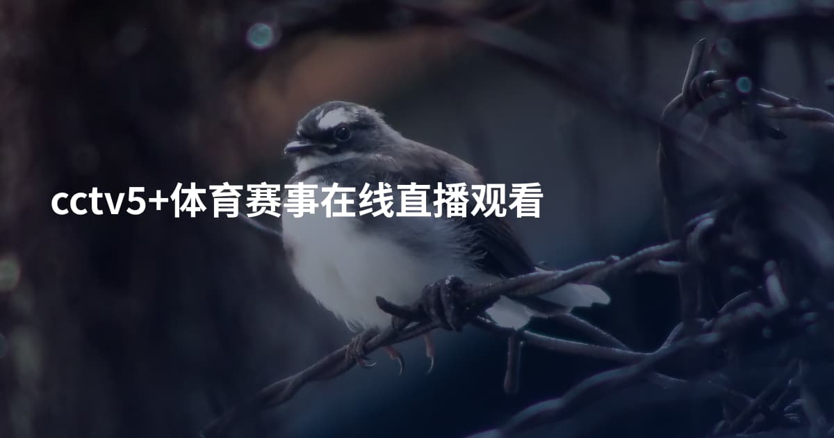 cctv5+体育赛事在线直播观看