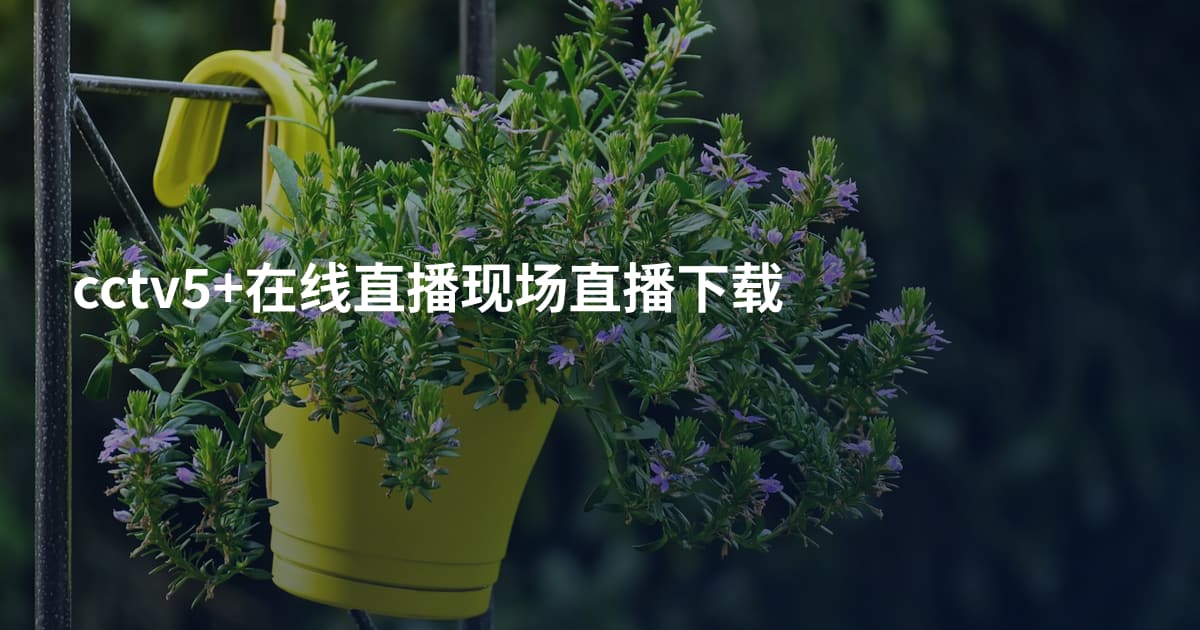 cctv5+在线直播现场直播下载