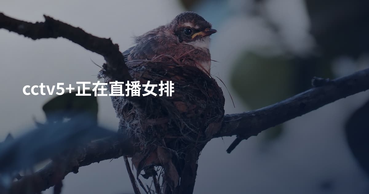 cctv5+正在直播女排