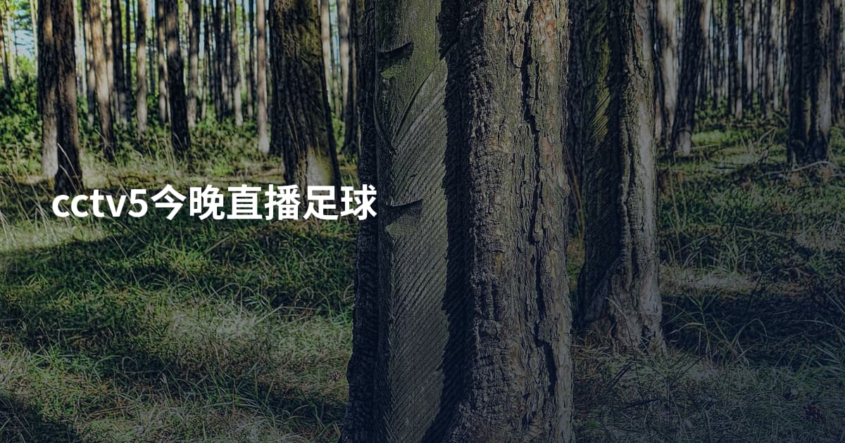 cctv5今晚直播足球