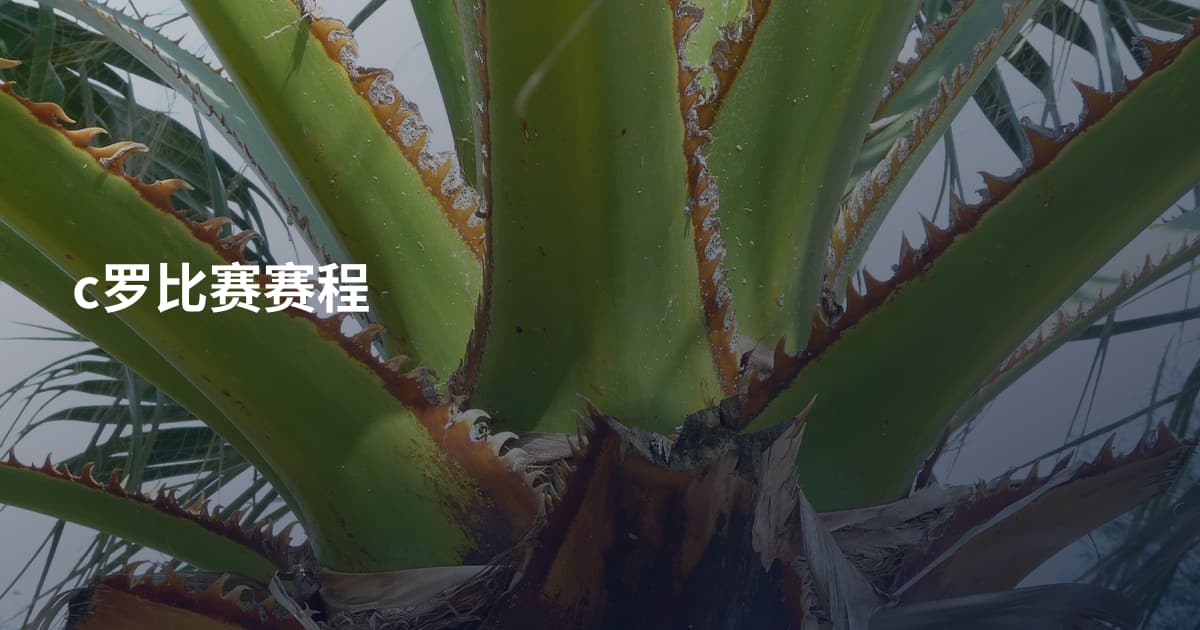 c罗比赛赛程