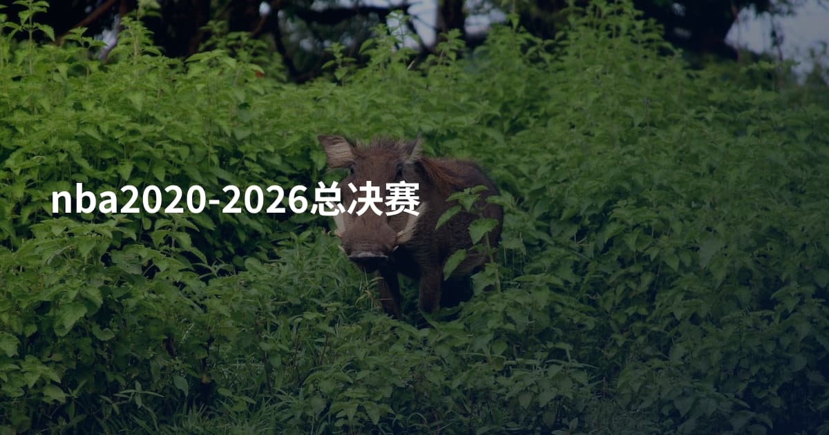 nba2020-2026总决赛