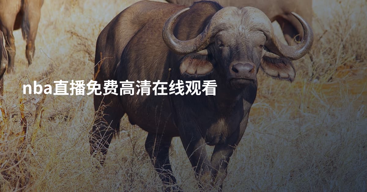 nba直播免费高清在线观看