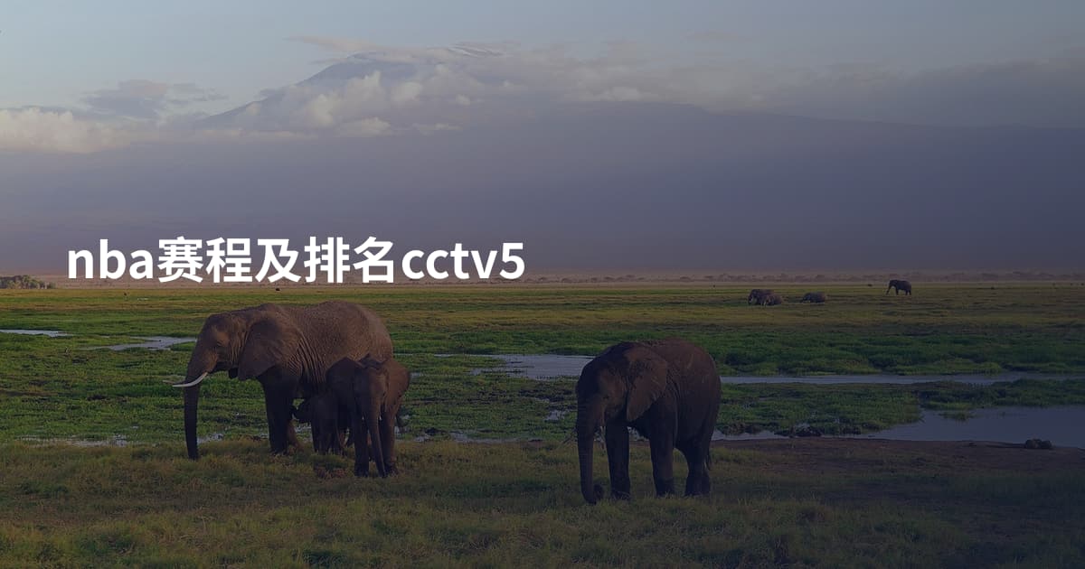nba赛程及排名cctv5